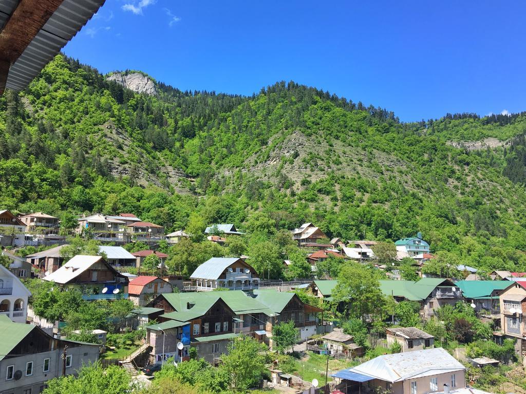 Borjomi 77 Apartment Luaran gambar